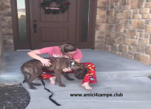 Scoppia in lacrime quando i genitori adottano il suo cane favorito; VIDEO