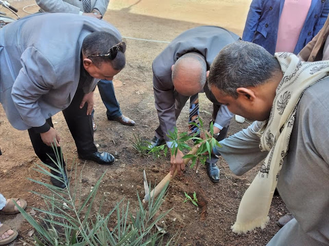 ازرع شجرة.. أول مبادرة من مدرسة عمر بن عبد العزيز الثانوية بقرية الصلعا بسوهاج في وطن أخضر