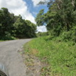 View album