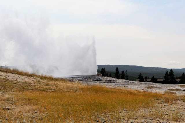 גייזר Old Faithful