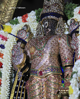 Rathnangi Sevai, Peyazhwar, Mylapore, Sri Parthasarathy Perumal,Pavitrotsavam, Day 03, seriya Veedhi purappadu,  Venkata KRishnan,Purappadu, 2019, Video,Divya Prabhandam,Triplicane,Thiruvallikeni,Utsavam,