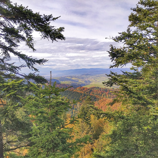 platforma widokowa Trzy Korony, Pieniny