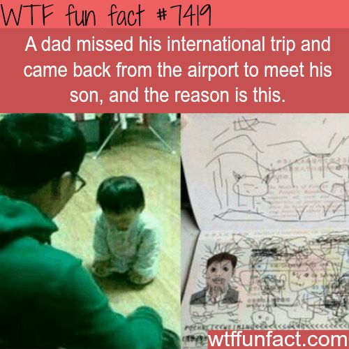 Interesting WTF Fun Facts That You Probably Didn't Know