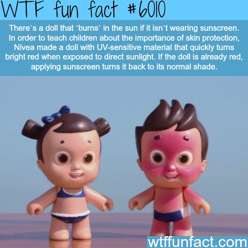 Amazing Weird And Interesting Random Facts
