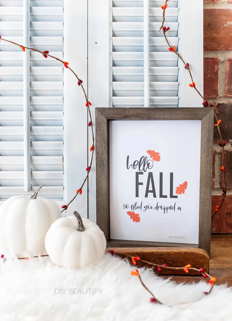 Fall vignette