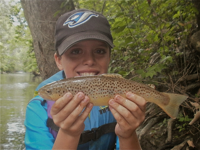 Mad River Brown Trout