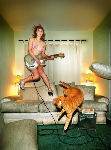 [guitar-cat-p.jpg]