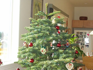 Blue Spruce from Lazy Tree Farm