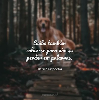SAIBA TAMBÉM CALAR-SE PARA NÃO SE PERDER EM PALAVRAS