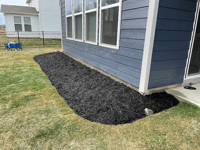 black mulch in new landscaping bed