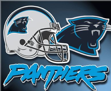  Panther NFL