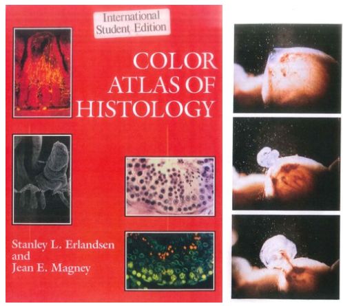 biology , course  , pdf  , google  , image  ,  video, facebook  , books