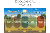 ECO BLOGS