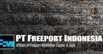 Gaji  Karyawan PT Freeport  Indonesia dan Risiko yang Harus 