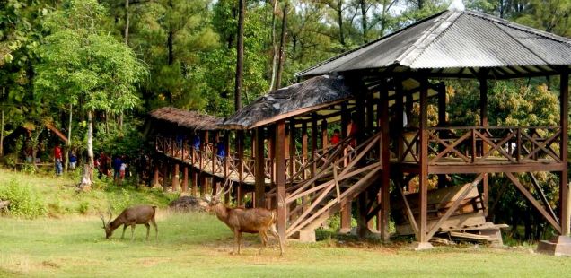 Keindahan Wisata Gresik