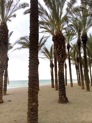 Malaga in March Torremolinos