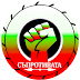 СЪПРОТИВАТА – Първото децентрализирано политическо движение в България