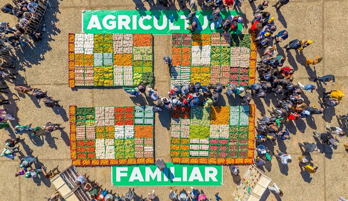  Combate à fome: Conab participa da elaboração do Plano Nacional de Abastecimento Alimentar