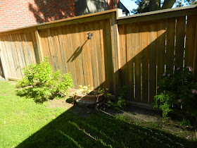 Leaside Toronto new side garden bed installation before by Paul Jung Gardening Services