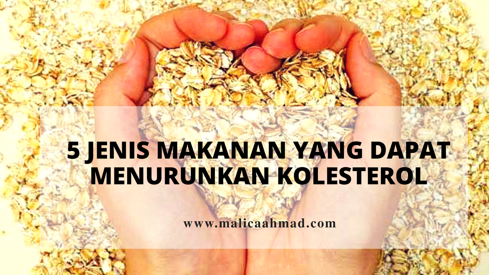 5 Jenis Makanan Yang Dapat Menurunkan Kolesterol Malica Ahmad