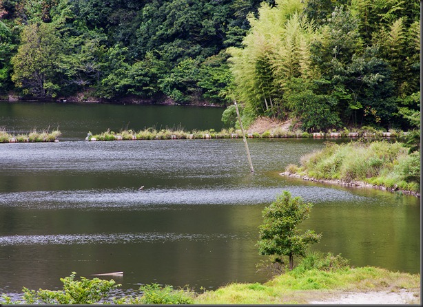 D700_2011-08-19_019