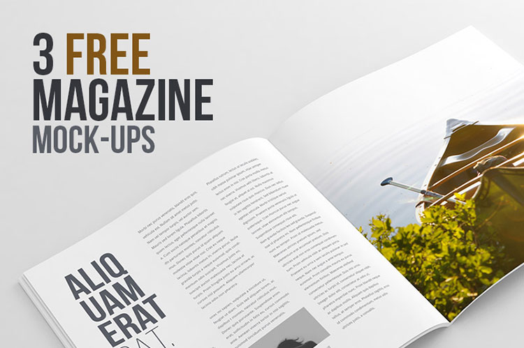 3 Free Magazine Mock-ups