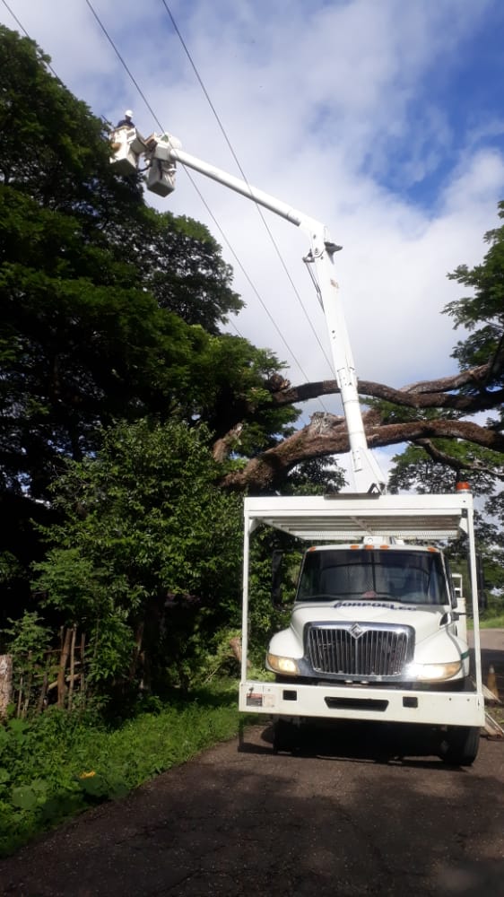 APURE: En San Fernando efectuaron control de vegetación asociado al circuito Arichuna 34.5 Kv.