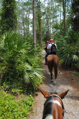 five star stables trail ride