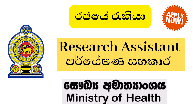 Research Assistant - Ministry of Health 