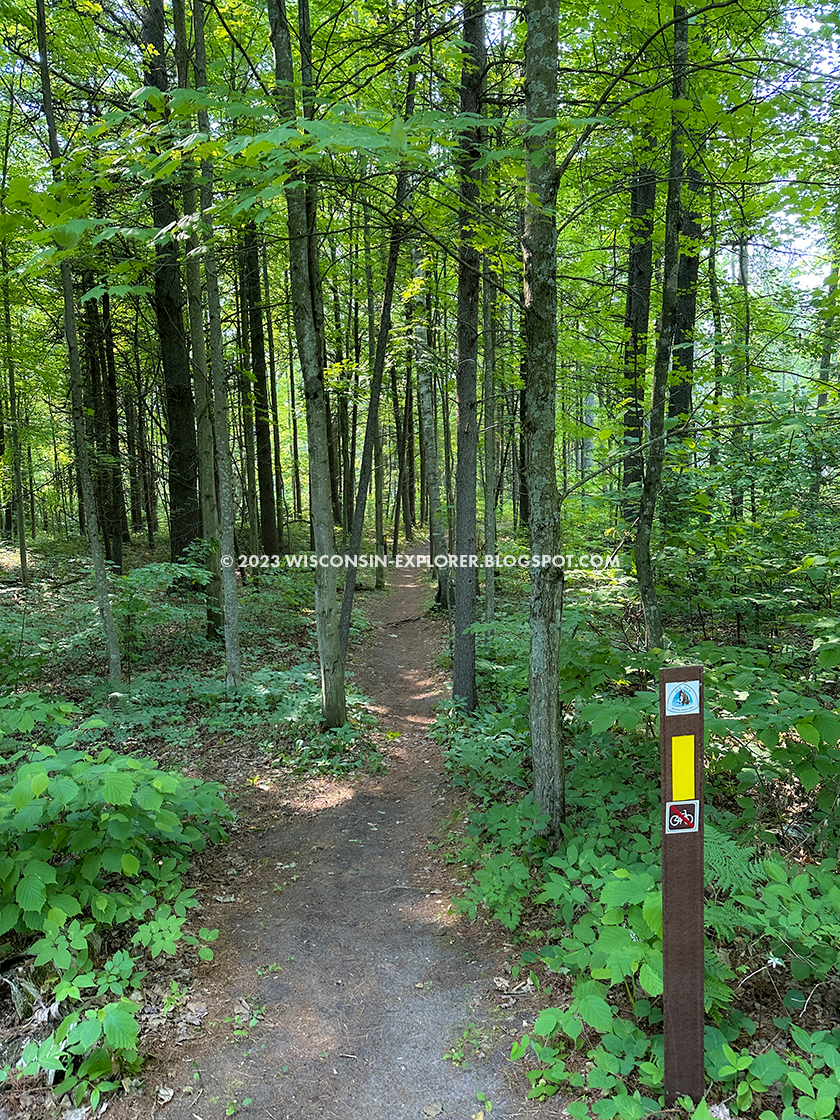 single track dirt footpath through trees