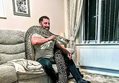 World Biggest Snake Living At Home