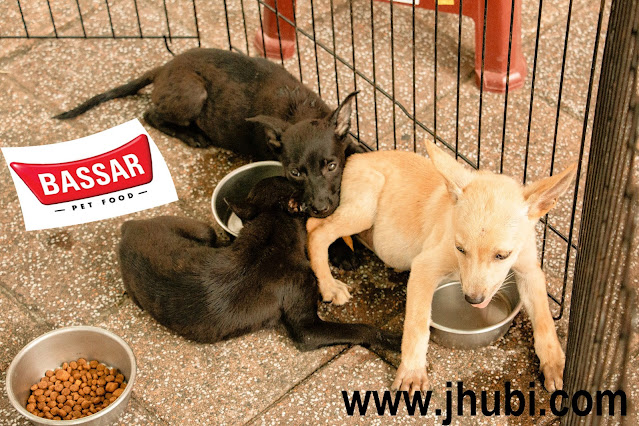 best basar pet food