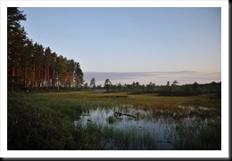 20090827_062252