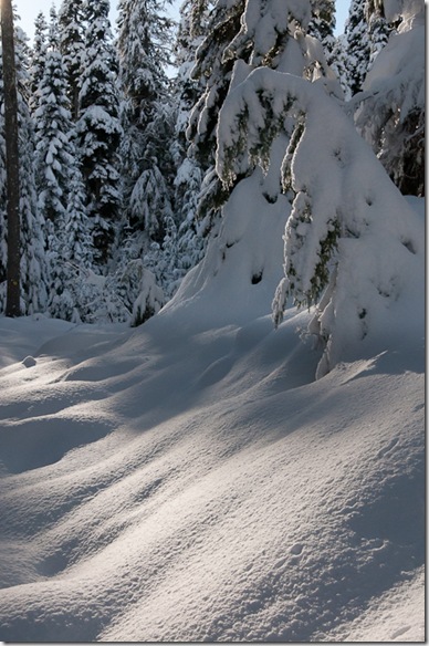 Nordic Pass -1