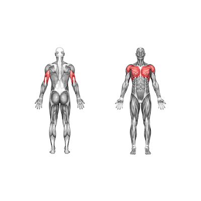 Incline_Presses_4_sets_and_12/10/8/6_reps