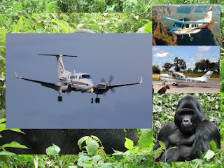 Affordable 3 days gorilla tracking tour fly to Bwind National Park from Entebbe International Airport