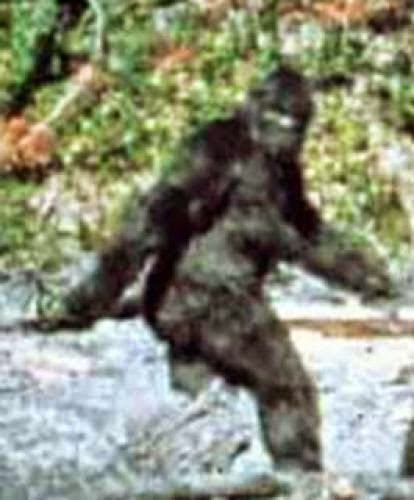 Bowhunter Encounters Sasquatch Family Stalking Deer