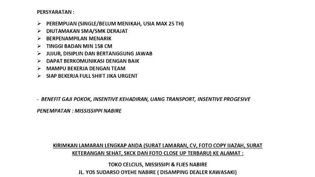 Lowongan Kerja di Toko Celcius, Mississippi, dan Flies Nabire Bulan ini Agustus 2023