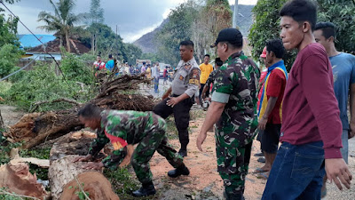 Hujan Deras dan Angin Puting Beliung Tumbangkan Atap Rumah dan Pohon