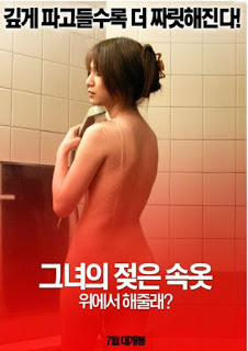 Falling Housewife 2009 Movie HDRip Sub Indo