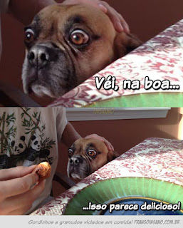 véi, na boa, véi na boa isso parece delicioso, véi na boa que legal, véi na boa eu nunca vou te perdoar por isso, veio velho veio na boa boua booaa, a boa, linda imagem, imagem engraçada, fun picture, funny movie