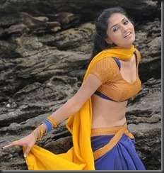 sunaina-hot_navel_photos