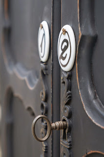 meuble-deux-portes-patiné-noir-médaillon-porcelaine-vintage-brocante-chic