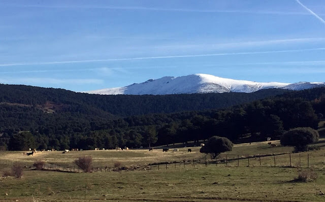 AlfonsoyAmigos - Rutas MTB