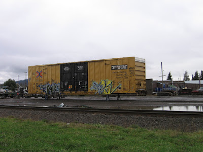 TTX Boxcar TBOX #666396 at Lebanon, Oregon, on January 19, 2006