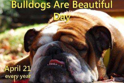 National Bulldogs Are Beautiful Day Wishes Images