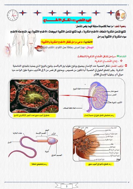 مذكرات انتقال الصفات الوراثية للسنة الرابعة متوسط الجيل الثاني