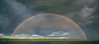 Rainbow Rain - Photo by Jesse Gardner on Unsplash