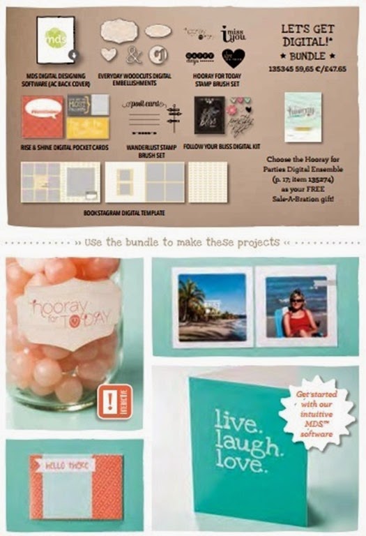 bundle 6