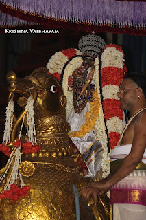 Hamsa Vahanam, Purappadu,Video, Divya Prabhandam, Brahmotsavam,Sri Parthasarathy Perumal,Chithirai, Triplicane,   Thiruvallikeni, Utsavam